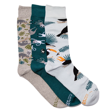 Conscious Step Gift Box: Socks that Protect Rainforest Animals