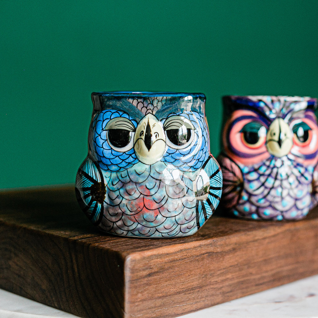 Lucia's Imports Hand-Painted Ceramic Mug: Owl