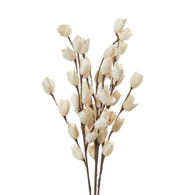 Serrv Rosebud Sola Bamboo Stem Flowers