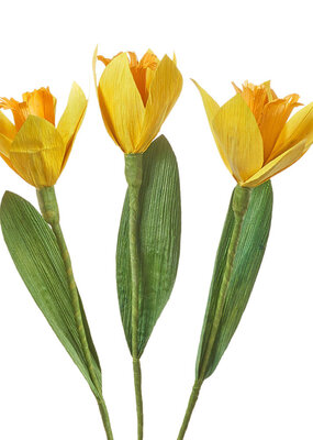 Serrv Cornhusk Daffodil Flower