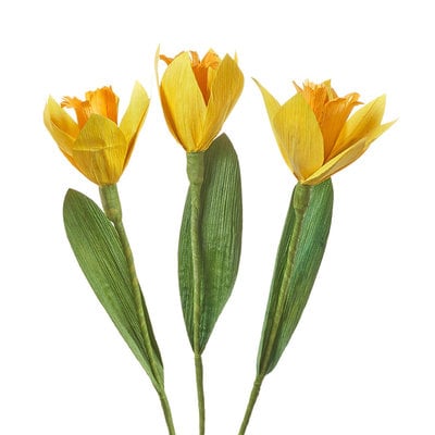 Serrv Cornhusk Daffodil Flower