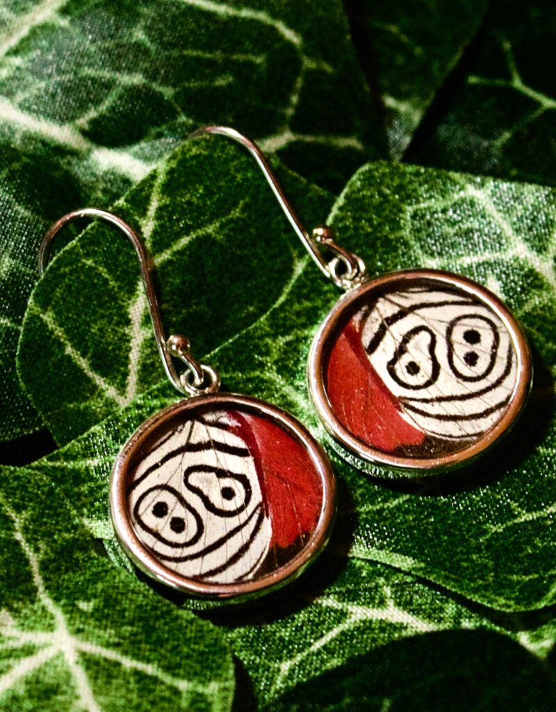 Silver Tree Designs Silver Tree Designs Butterfly Wing Round Earrings: Assorted