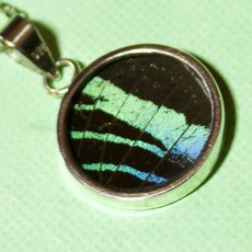 Silver Tree Designs Butterfly Wing Round Pendant Assorted