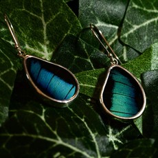 Silver Tree Designs Butterfly Wing Teardrop Earrings - Prepona