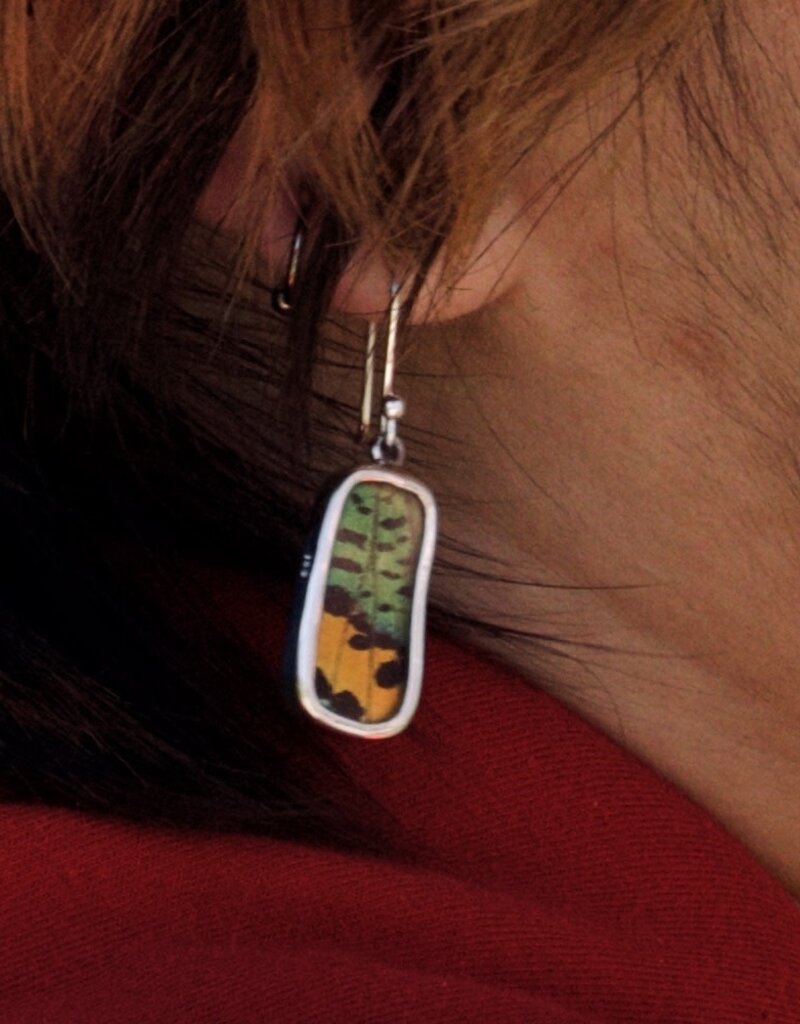Silver Tree Designs Silver Tree Designs Butterfly Wing Small Rectangle Earrings: Rainbow Sunset Moth