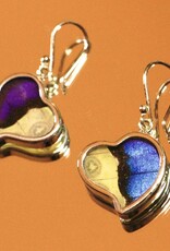 Silver Tree Designs Butterfly Wing Heart Earrings Assorted