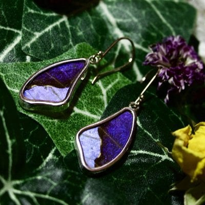 Silver Tree Designs Butterfly Wing Large  Wing Earrings Blue Morpho/Morpho Sulkowskyi