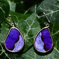 Silver Tree Designs Butterfly Wing Teardrop Earrings: Blue Morpho/Morpho Sulkowskyi