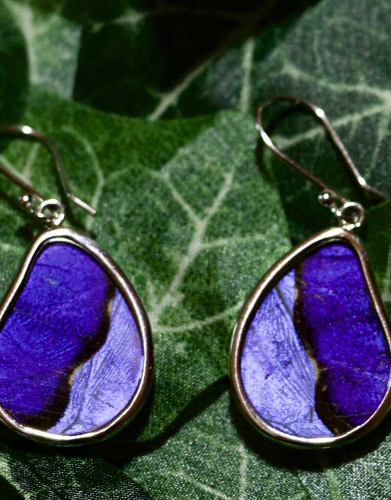 Silver Tree Designs Silver Tree Designs Butterfly Wing Teardrop Earrings: Blue Morpho/Morpho Sulkowskyi