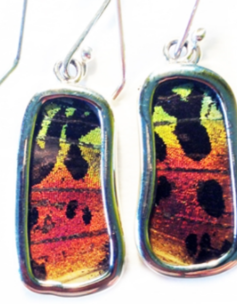 Silver Tree Designs Silver Tree Designs Butterfly Wing Small Rectangle Earrings: Rainbow Sunset Moth