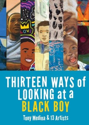 Microcosm Thirteen Ways of Looking at a Black Boy