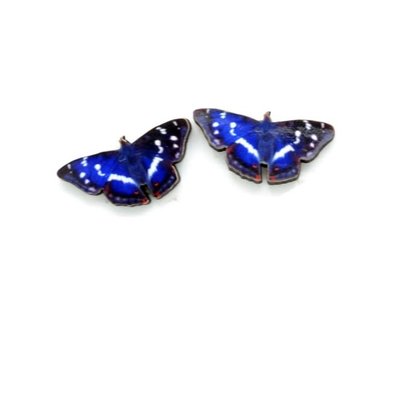 Dunitz & Co Butterfly Stud Earrings: Purple Emperor