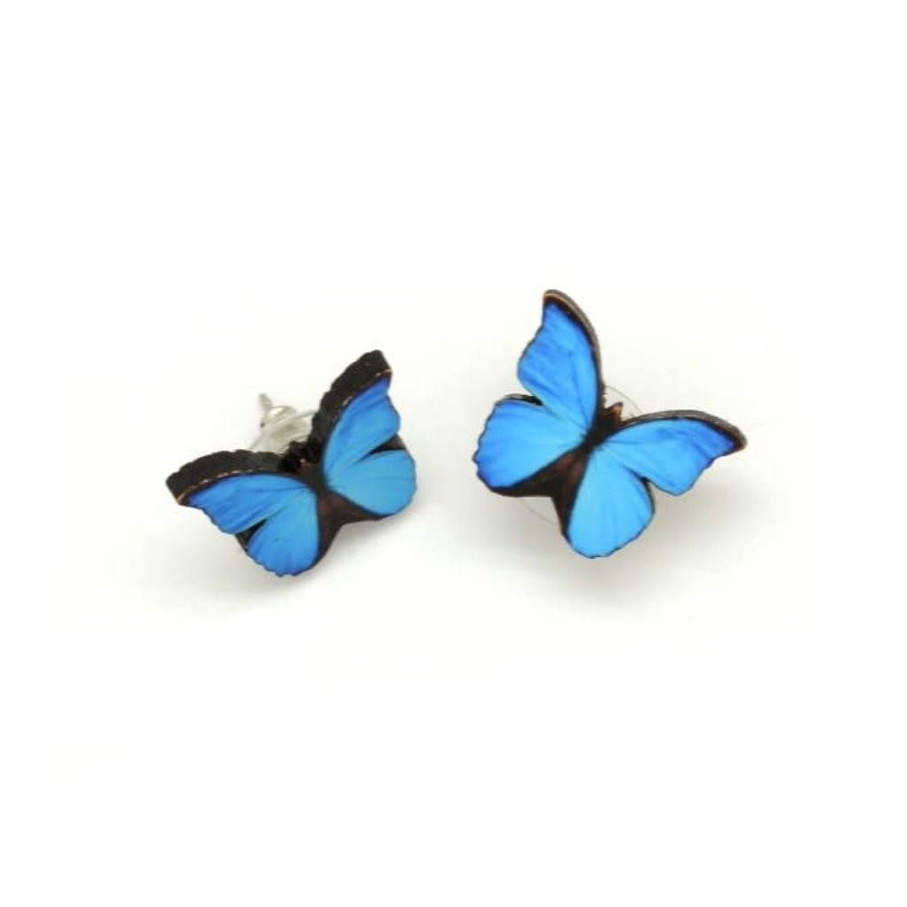 Dunitz & Co Butterfly Stud Earrings: Blue Morpha