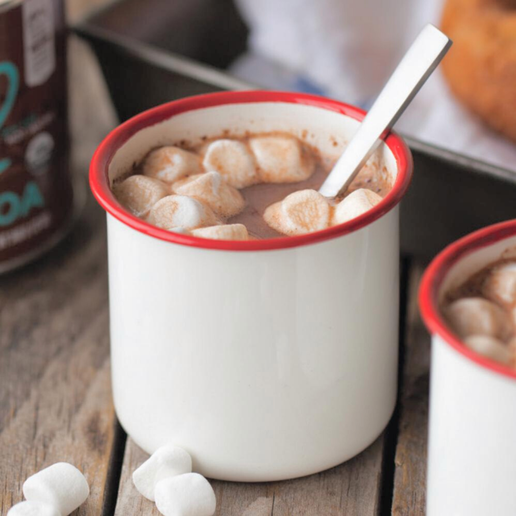 Equal Exchange Hot Cocoa Mix--Organic