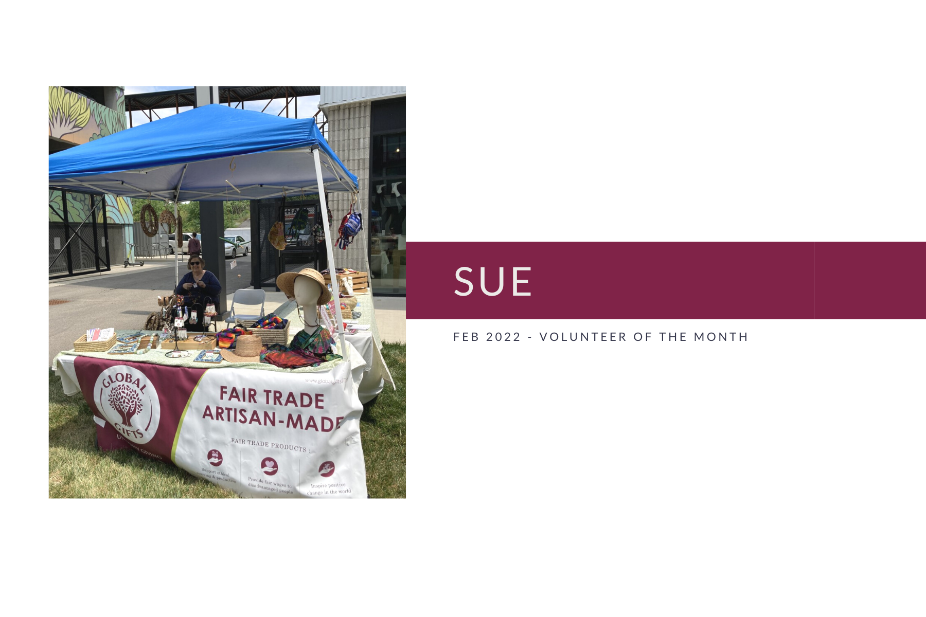 Meet Sue: Volunteer of the Month (Feb 2022)