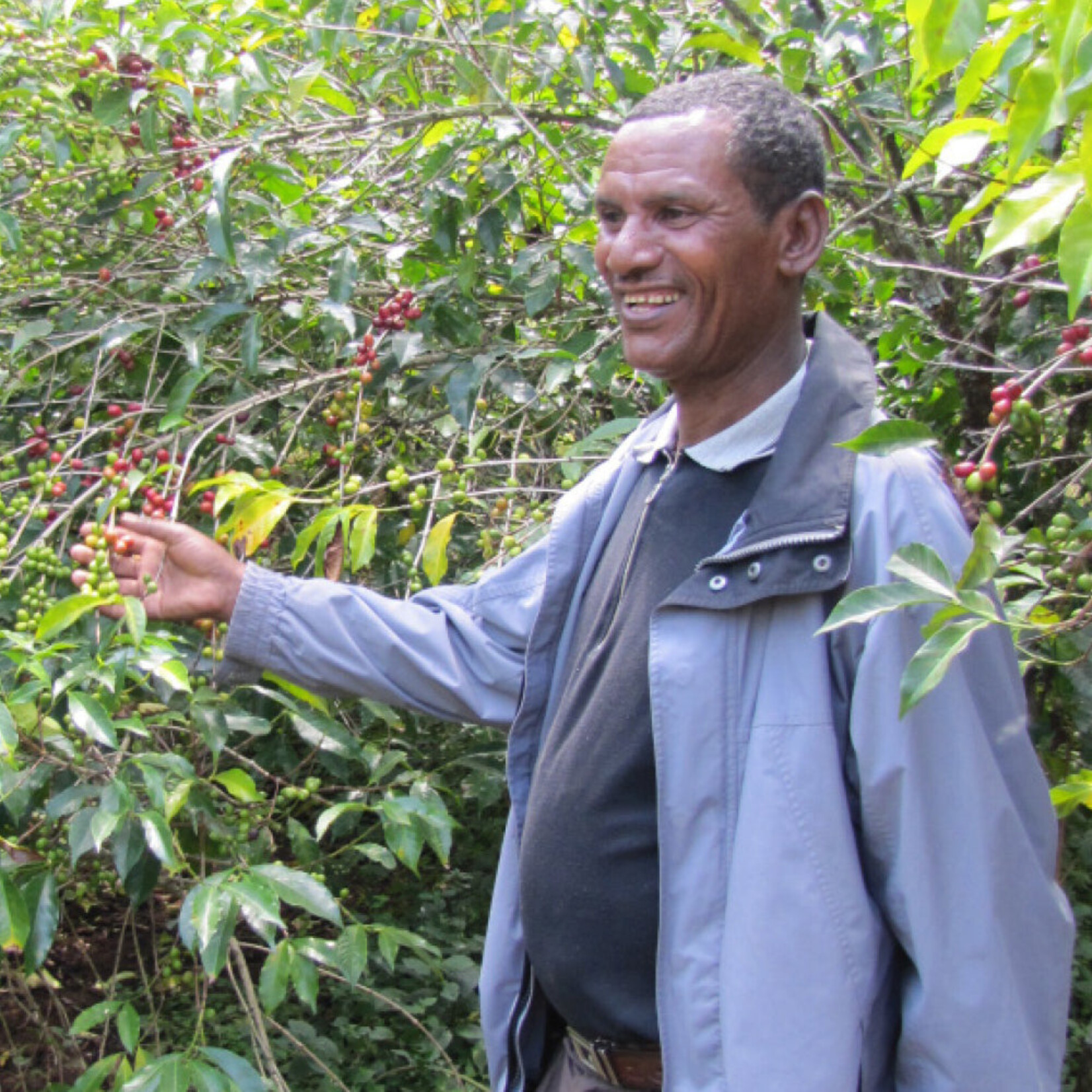 Equal Exchange Organic Ethiopian Drip Coffee