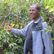 Equal Exchange Ethiopian Coffee Ground