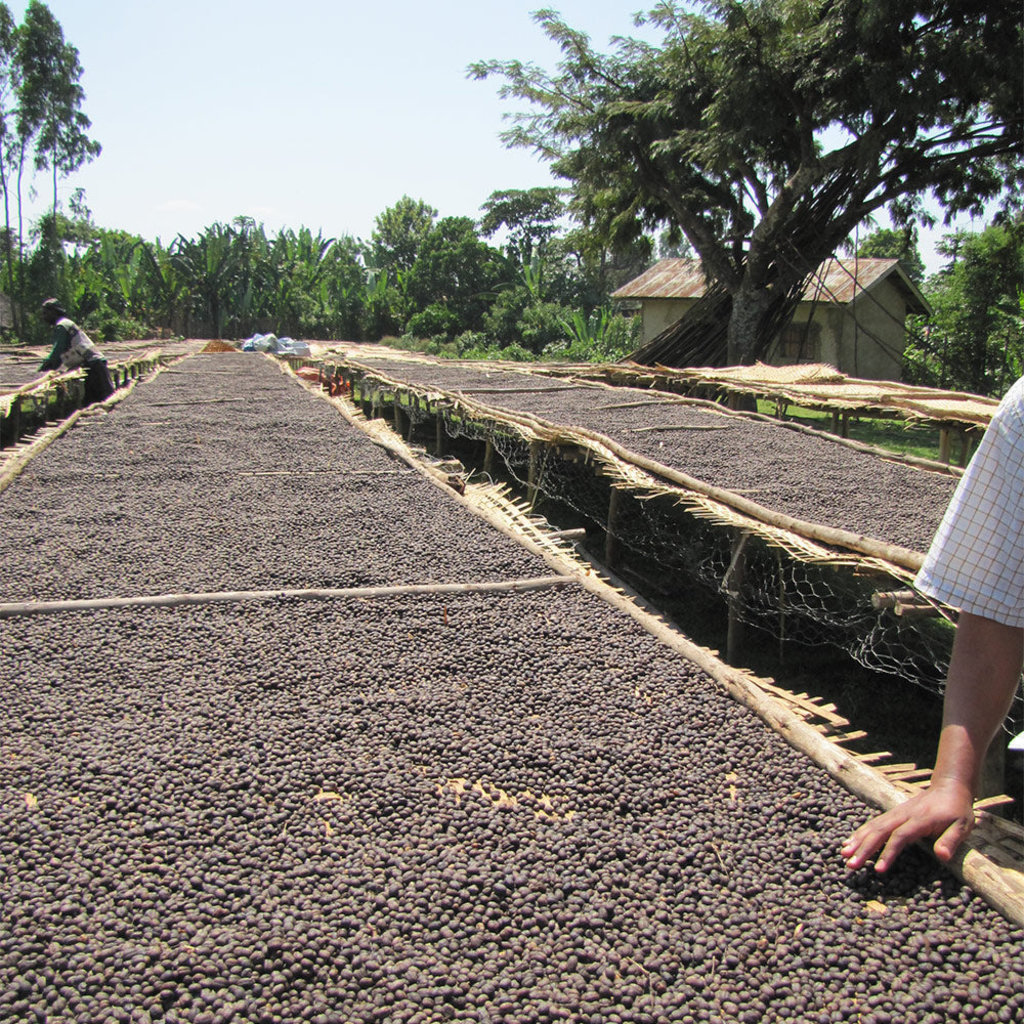 Equal Exchange Ethiopian Coffee Ground
