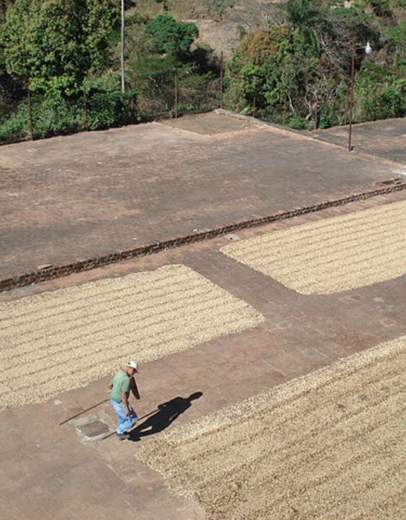 Equal Exchange Cafe Salvador Drip Ground