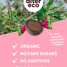 Alter Eco Single Truffle: Sea Salt 58% Cocoa