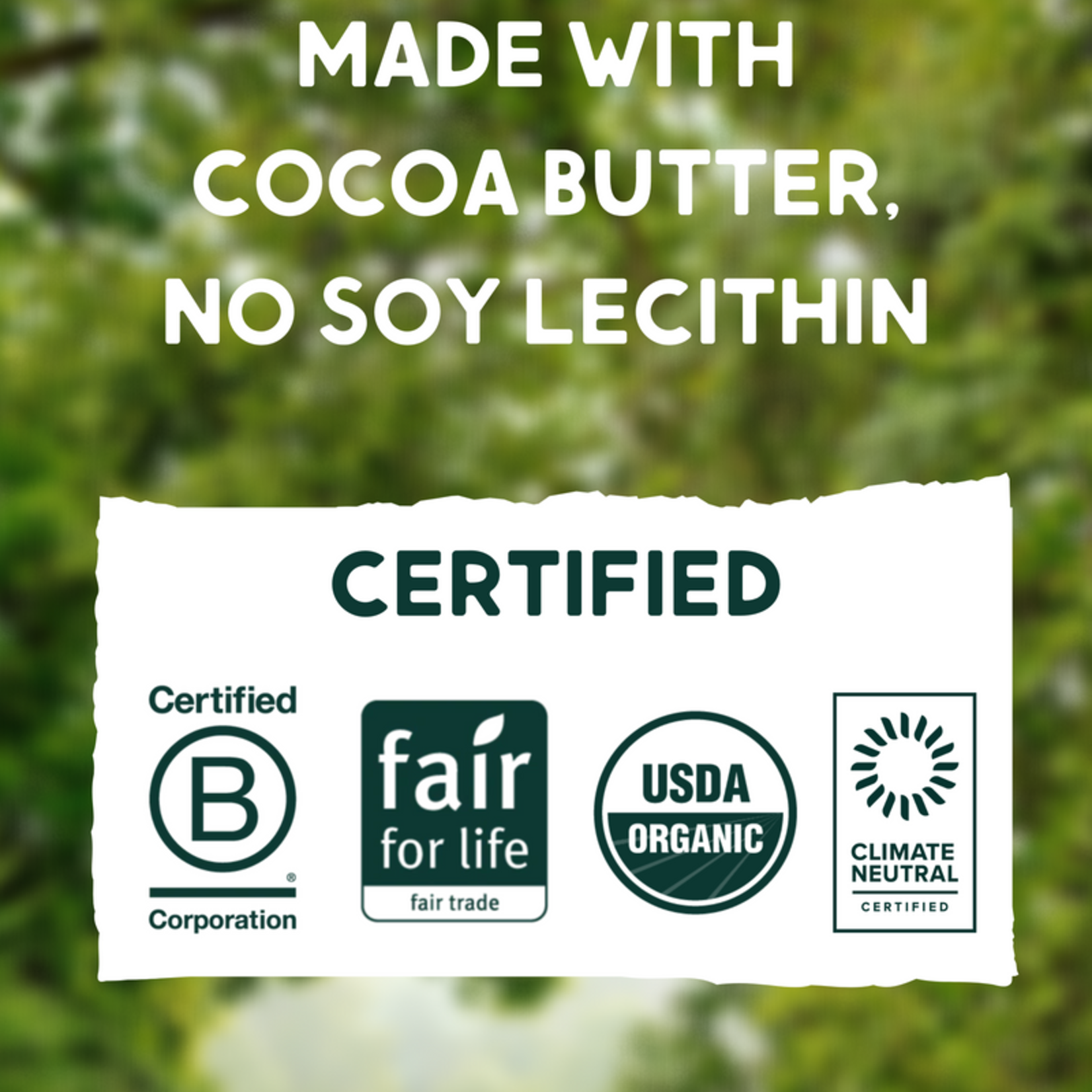 Alter Eco Single Truffle: Mint Creme