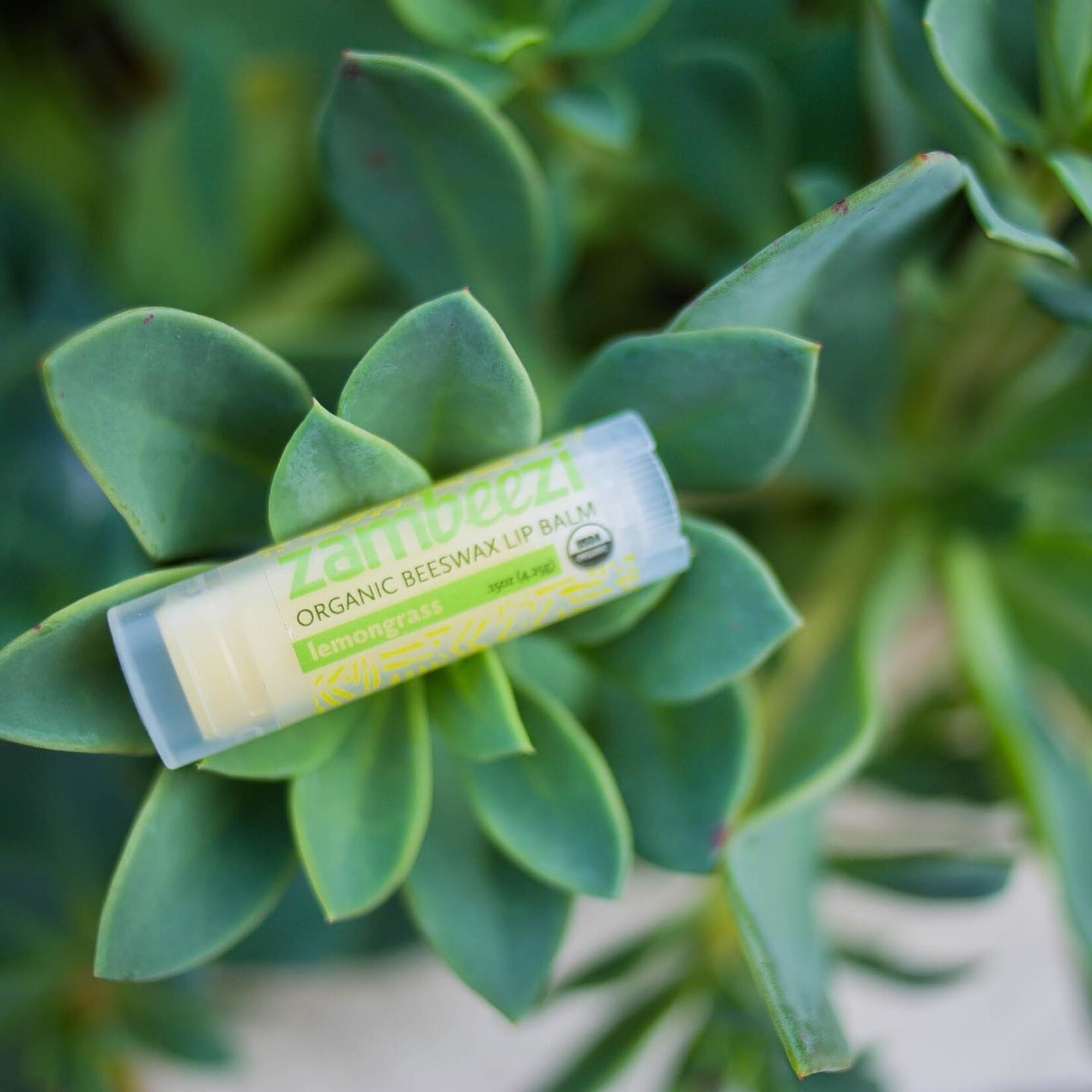 Sambah Naturals Organic Beeswax Lip Balm: Lemongrass