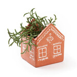 Matr Boomie Vasanta House Planter with Drainage- Terracotta