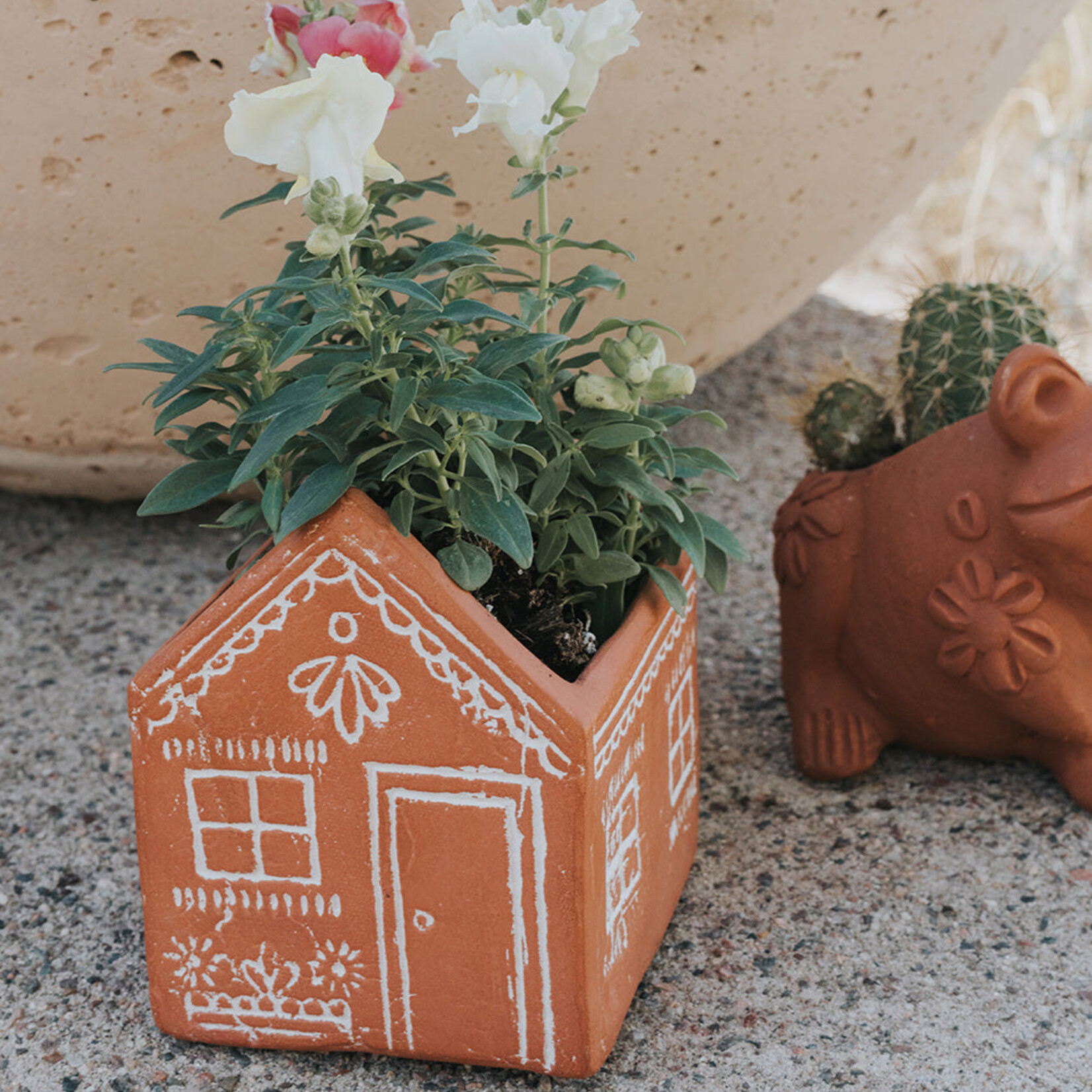 Matr Boomie Vasanta House Planter with Drainage- Terracotta