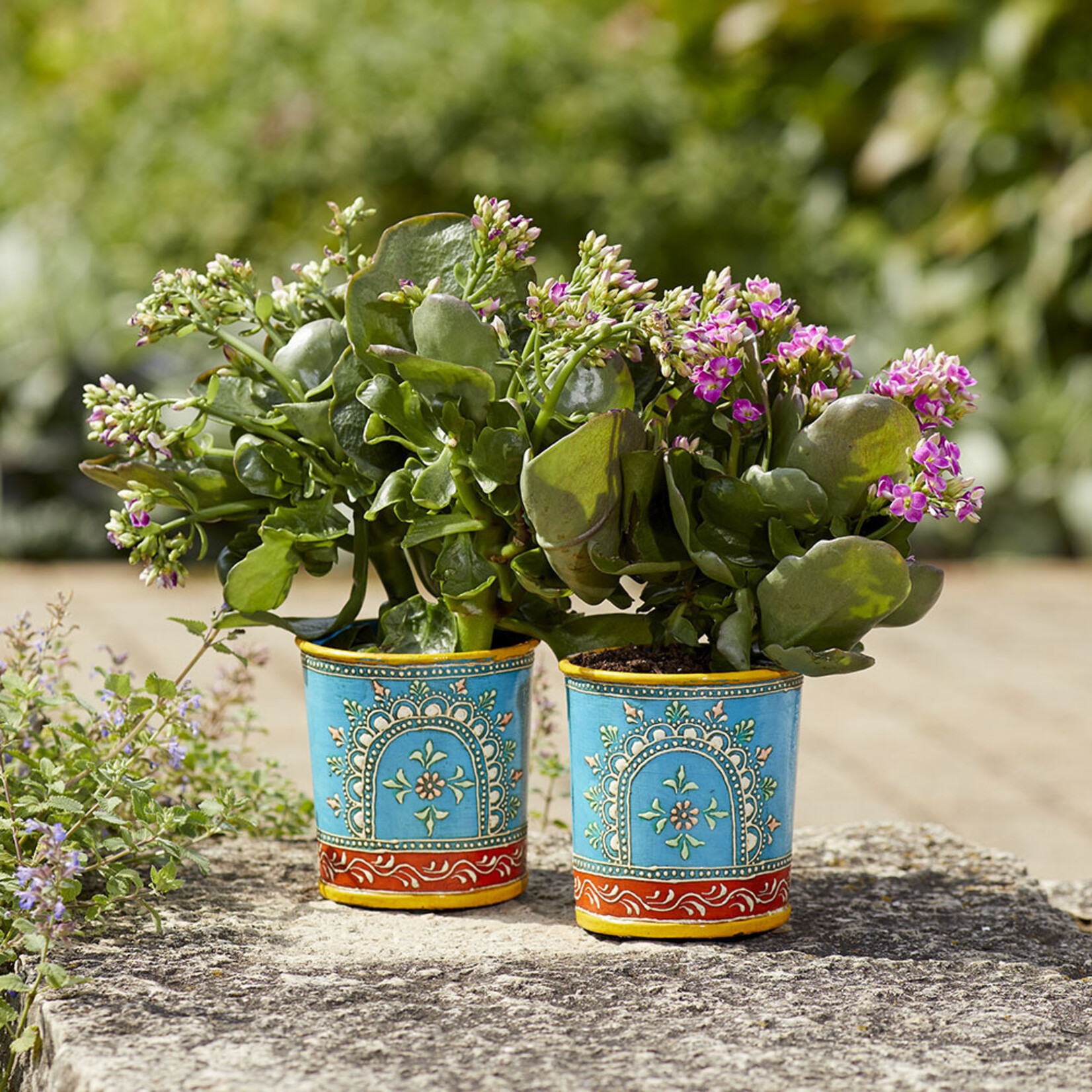 Serrv Rangeni Planter
