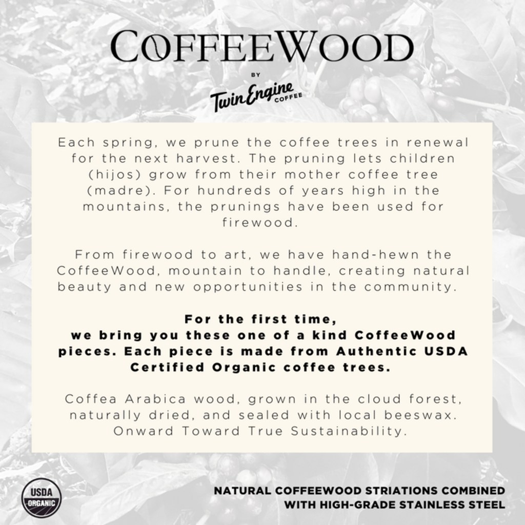 Twin Engine Coffee La Madre Wooden Scoop