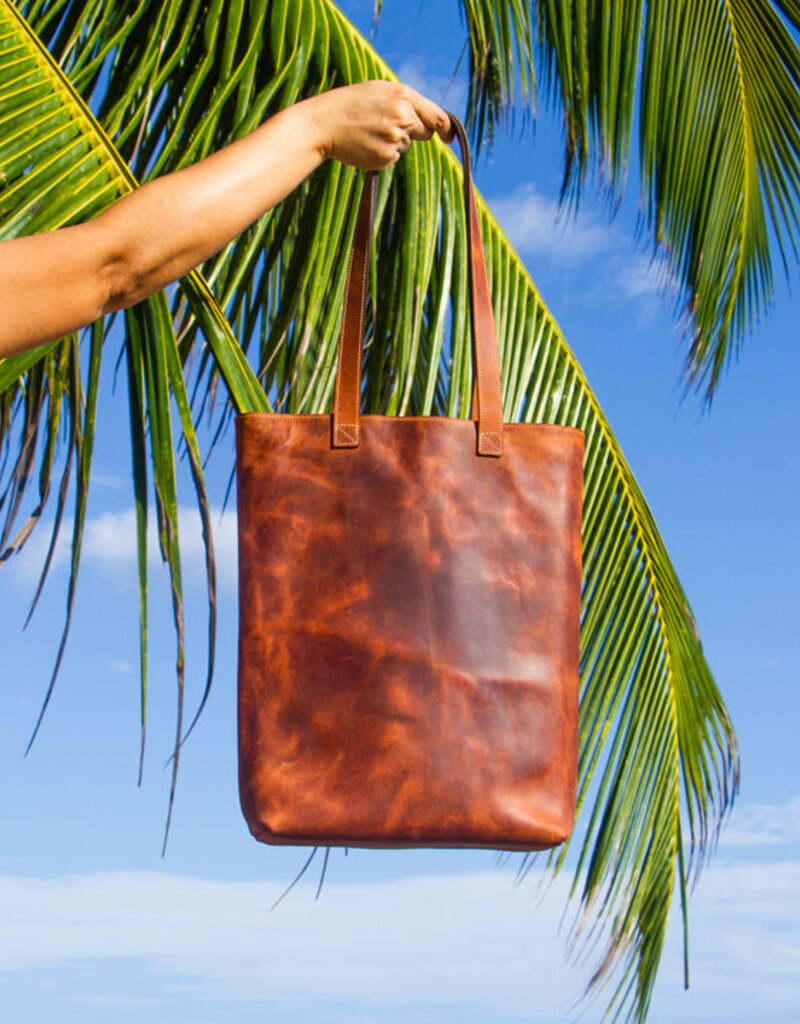 Twin Engine Coffee Leather Tote in Brown