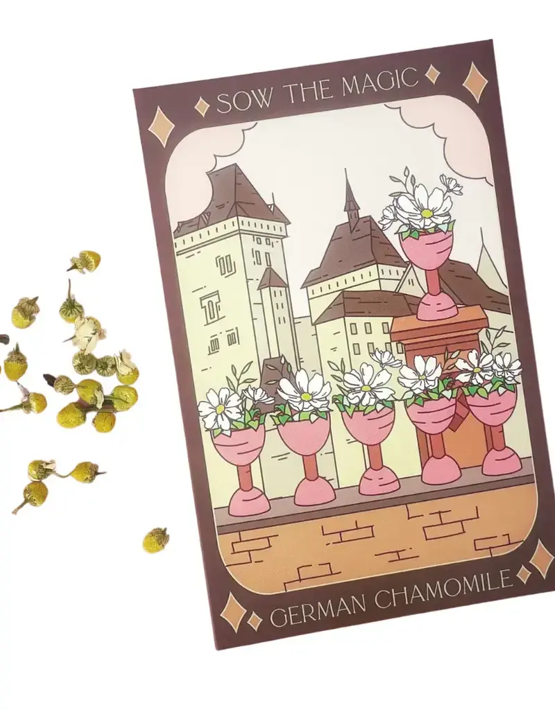 Sow The Magic German Chamomile Tarot Garden + Gift Seed Packet