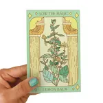 Sow The Magic Lemon Balm Tarot Garden + Gift Seed Packet