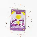 Sow The Magic The Moon Salt Soak in Lavender