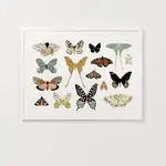 Clementine Kids Butterfly Collector Art (Landscape)