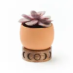Matr Boomie Indukala Moon Phase Terracotta Plant Pot Wood Stand- Small