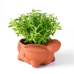 Matr Boomie Rakshana Rabbit Plant Pot- Terracotta