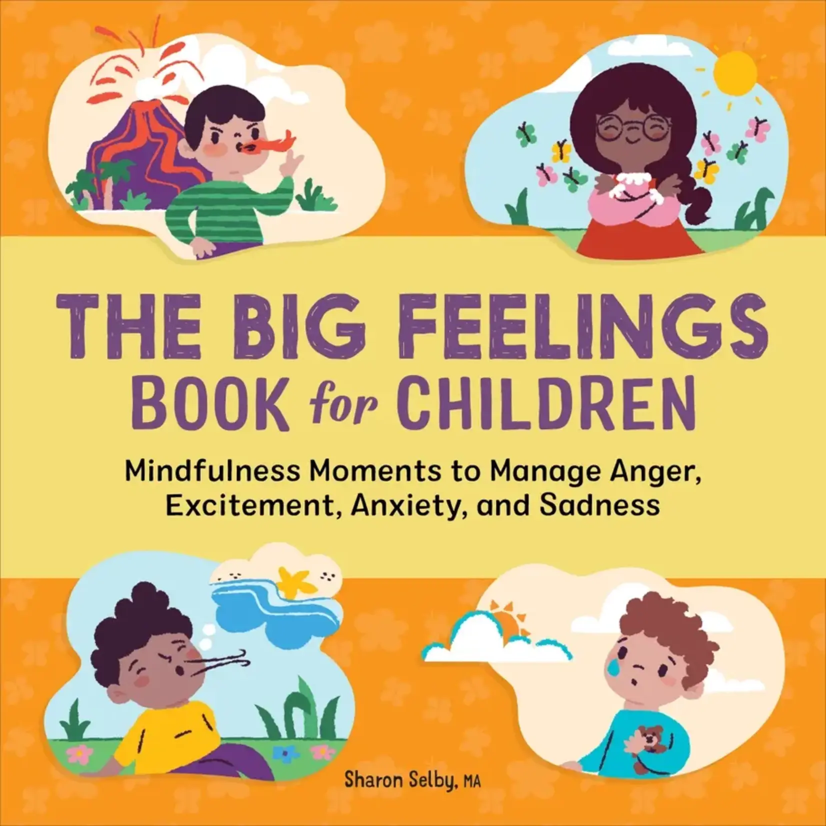 Sourcebooks Big Feelings Book For Children