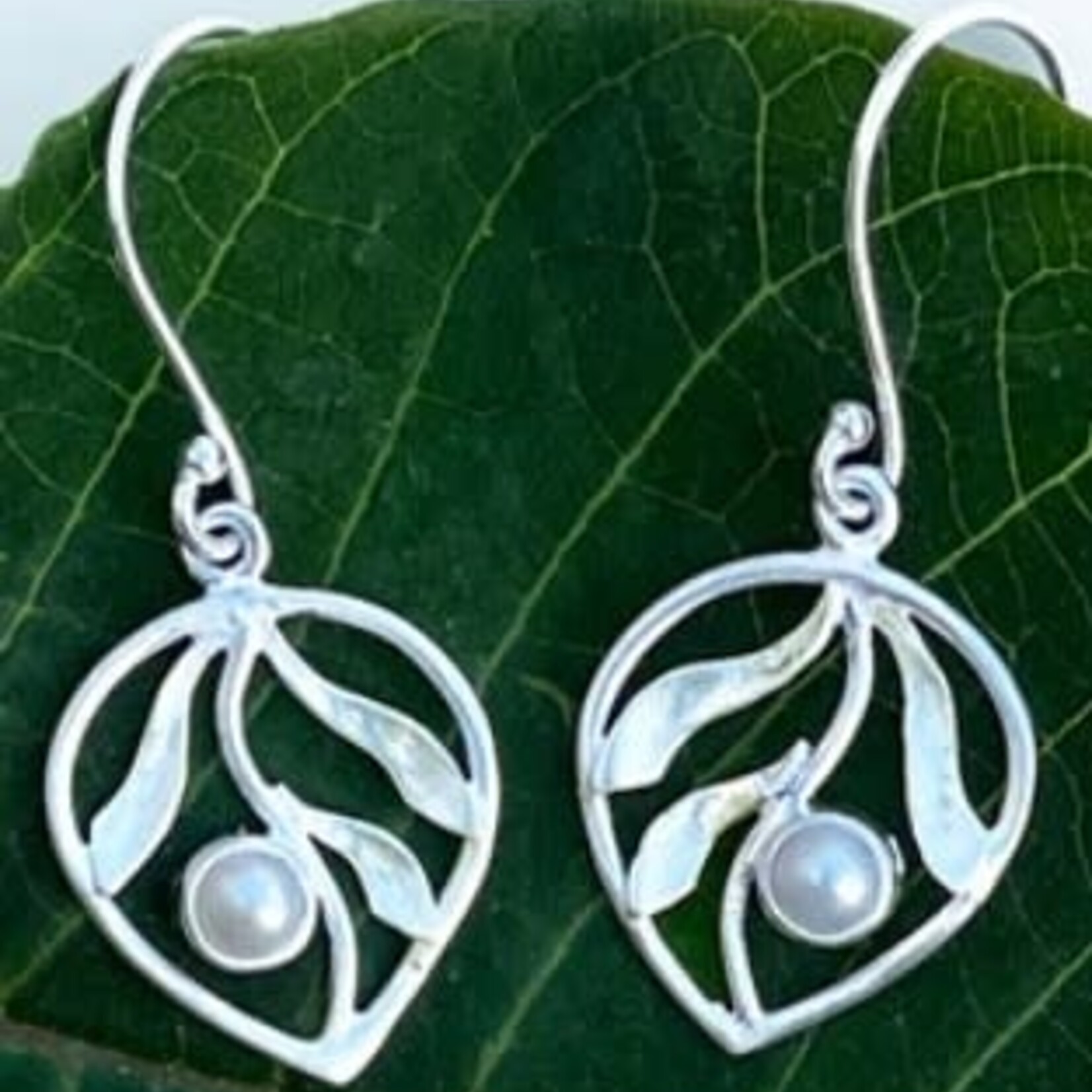 Women's Peace Collection Whispering Leaf Earrings, Pearl - Sterling Silver