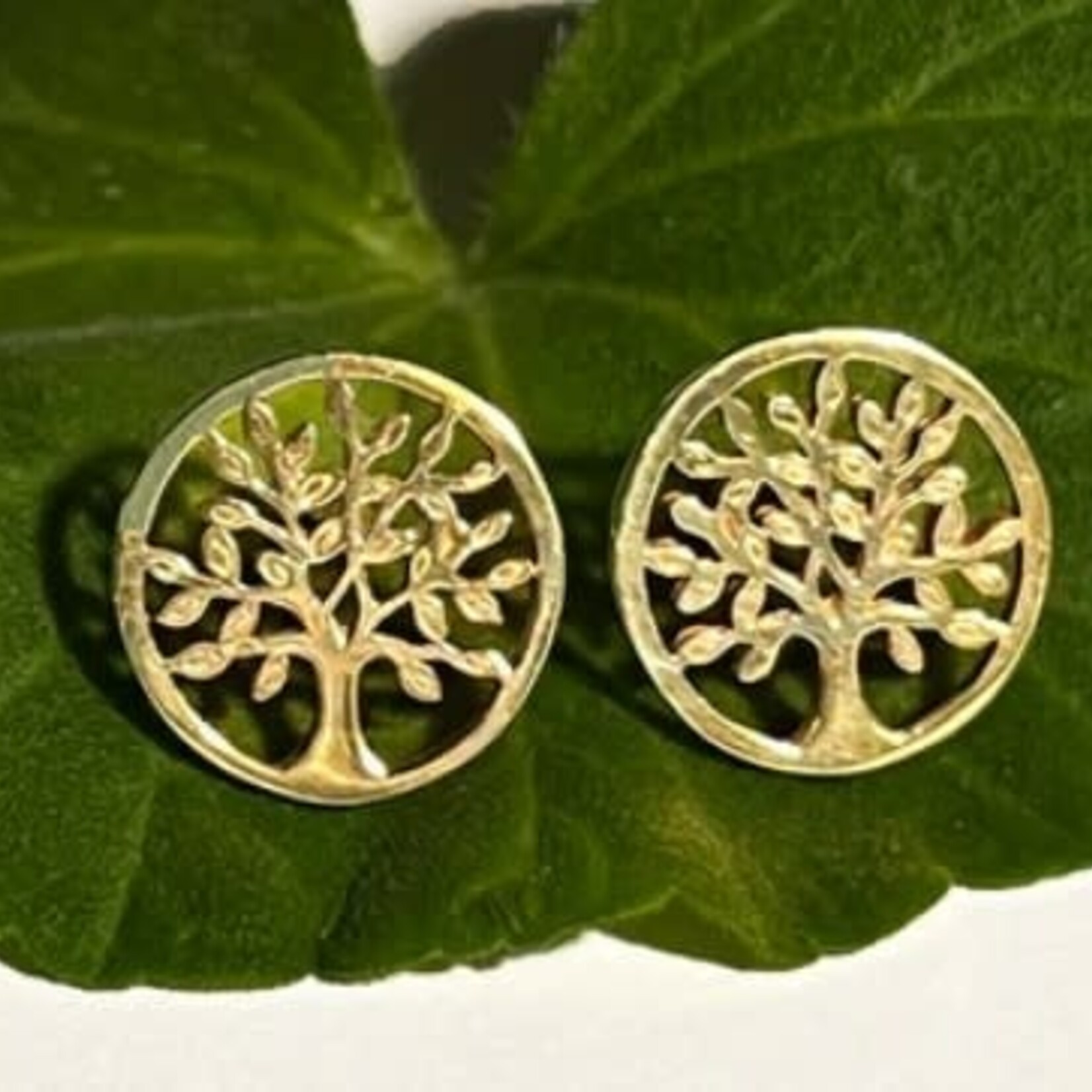 Women's Peace Collection Tree of Life Post Earrings - Brass