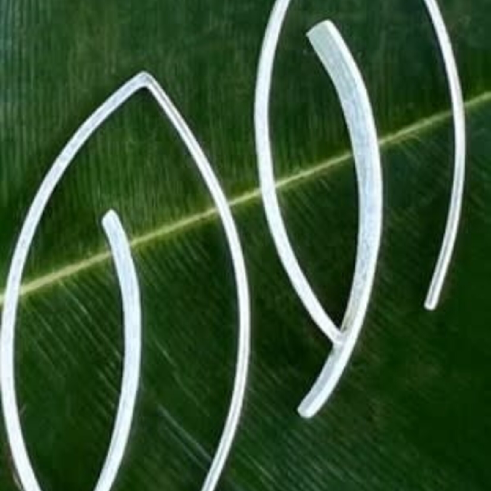 Women's Peace Collection Touch of Sparkle Earrings - Sterling Silver