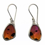 Minga Imports Butterfly Earrings, Sterling Silver