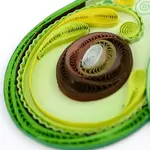 Quilling Card Avocado Quilled Card