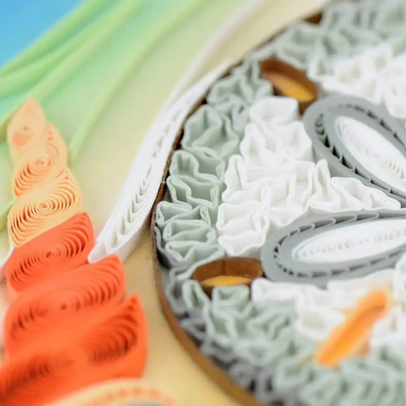 Quilling Card Sand Dollar Quilled Card