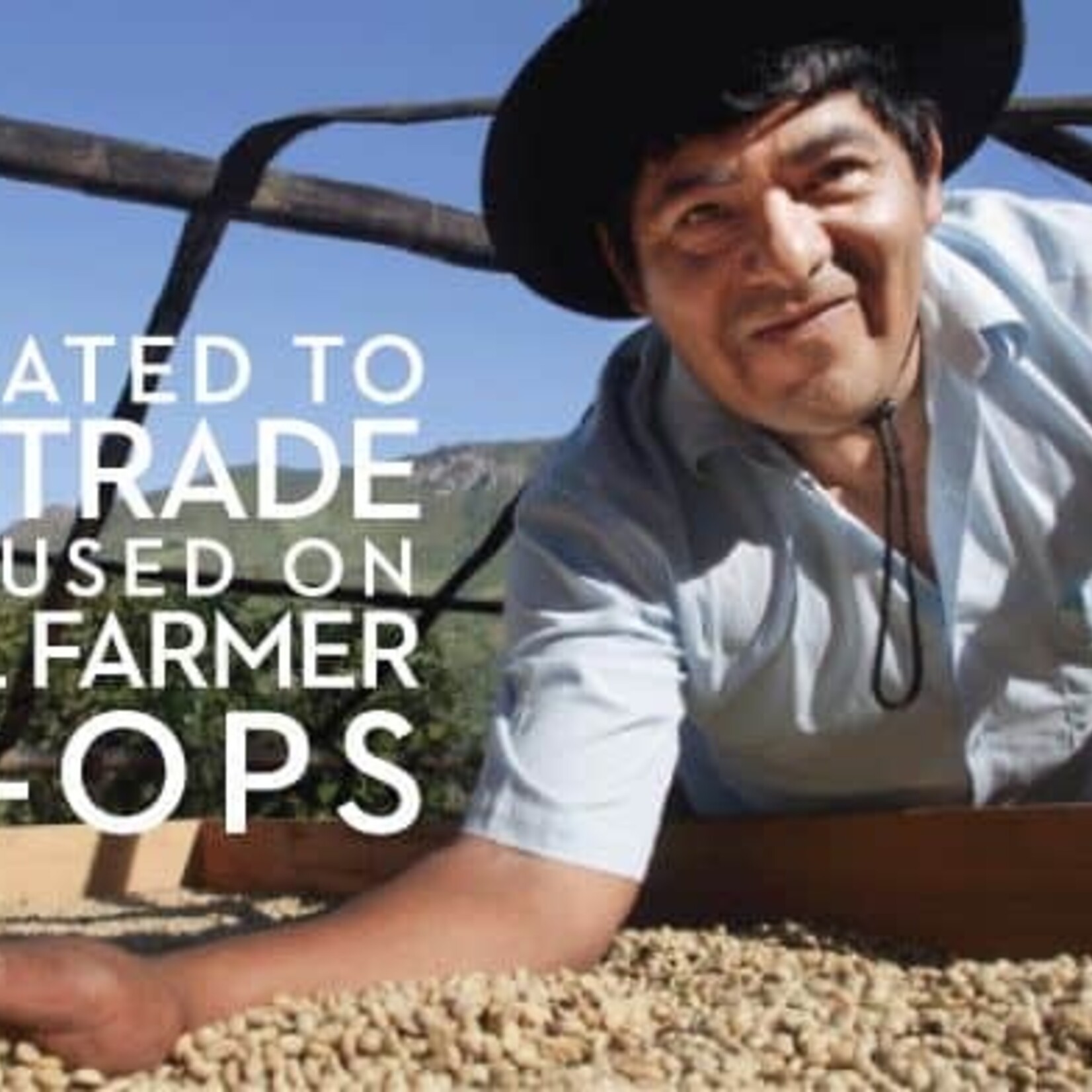 Equal Exchange Mini Dark Chocolate-Individual