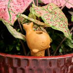 Ten Thousand Villages Self Watering Plant Pet - Whale