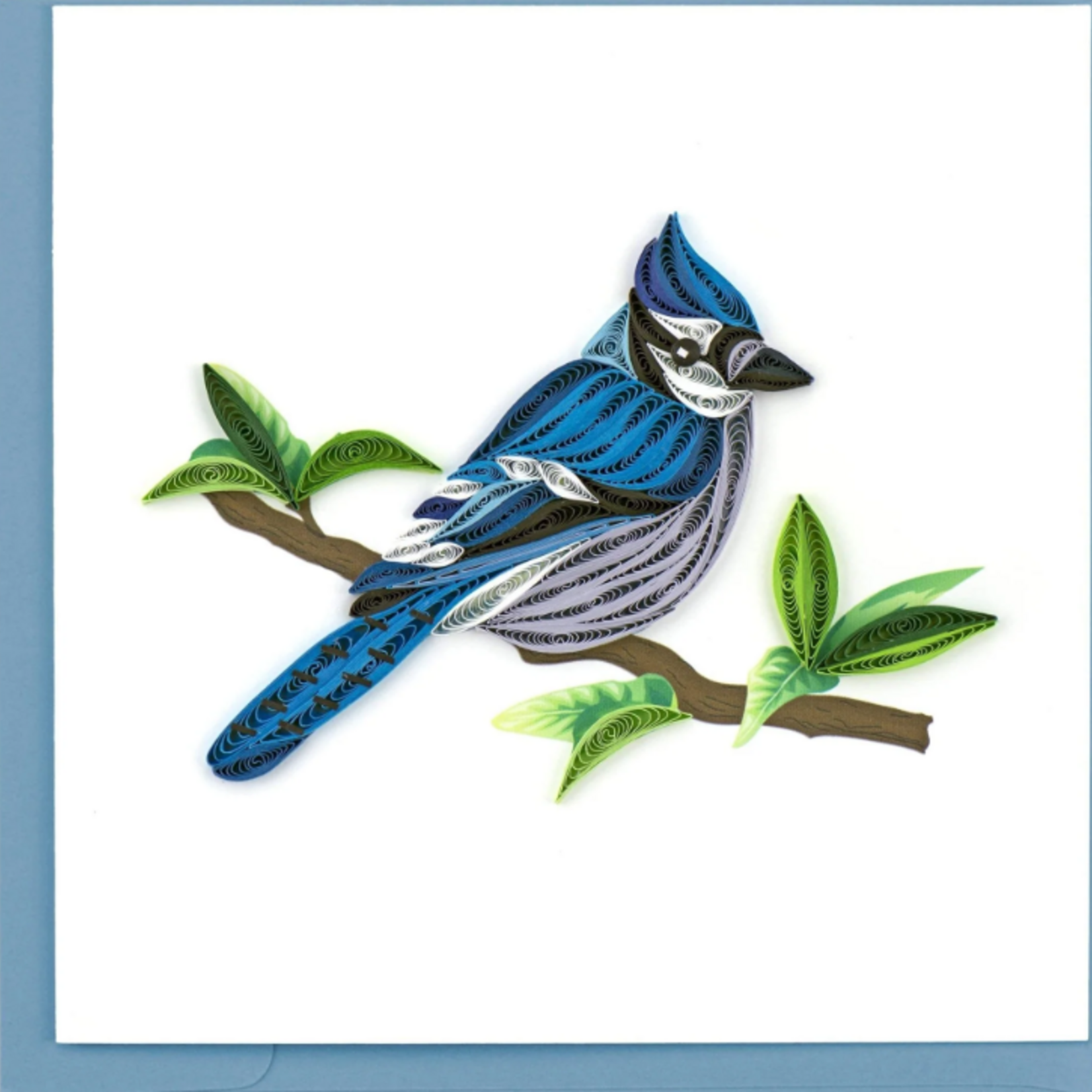 Quilling Card Blue Jay Quilled Card
