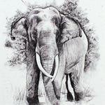 Minga Imports Ellie Pooh Conservation Handout