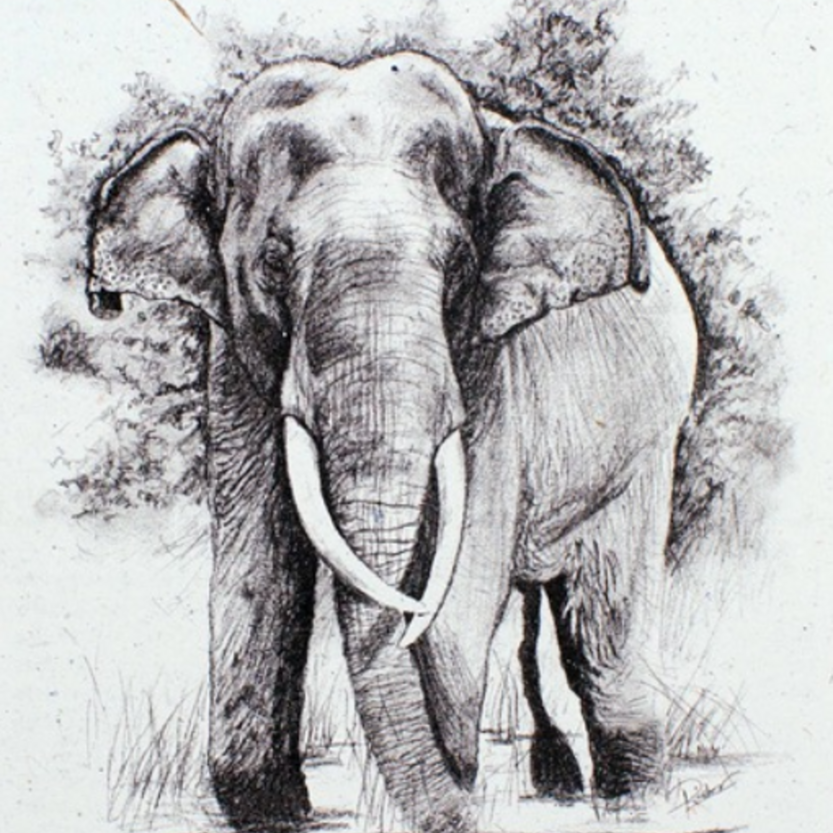 Minga Imports Ellie Pooh Conservation Handout