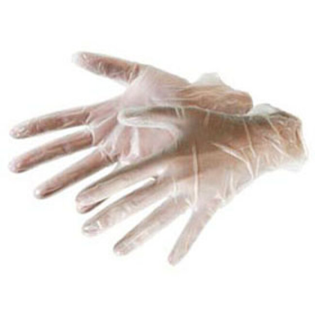 Vinyl Glove (sold each)